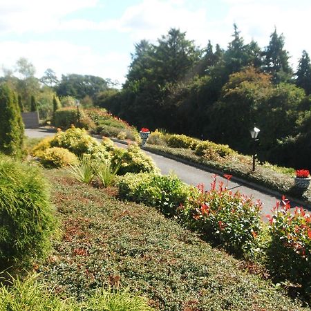 Blarney Vale B&B Extérieur photo