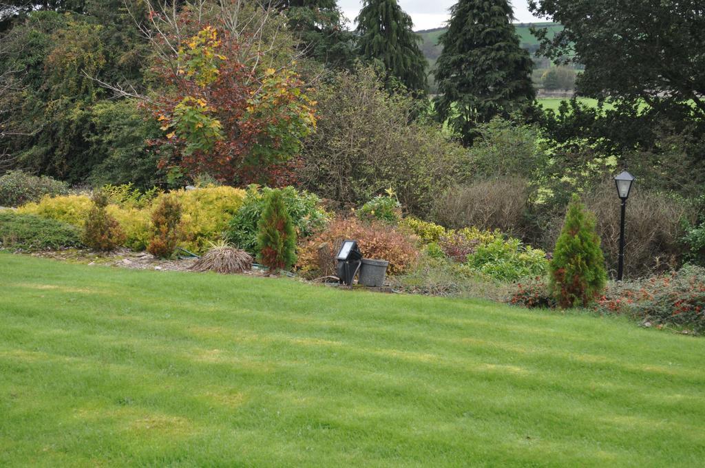 Blarney Vale B&B Chambre photo