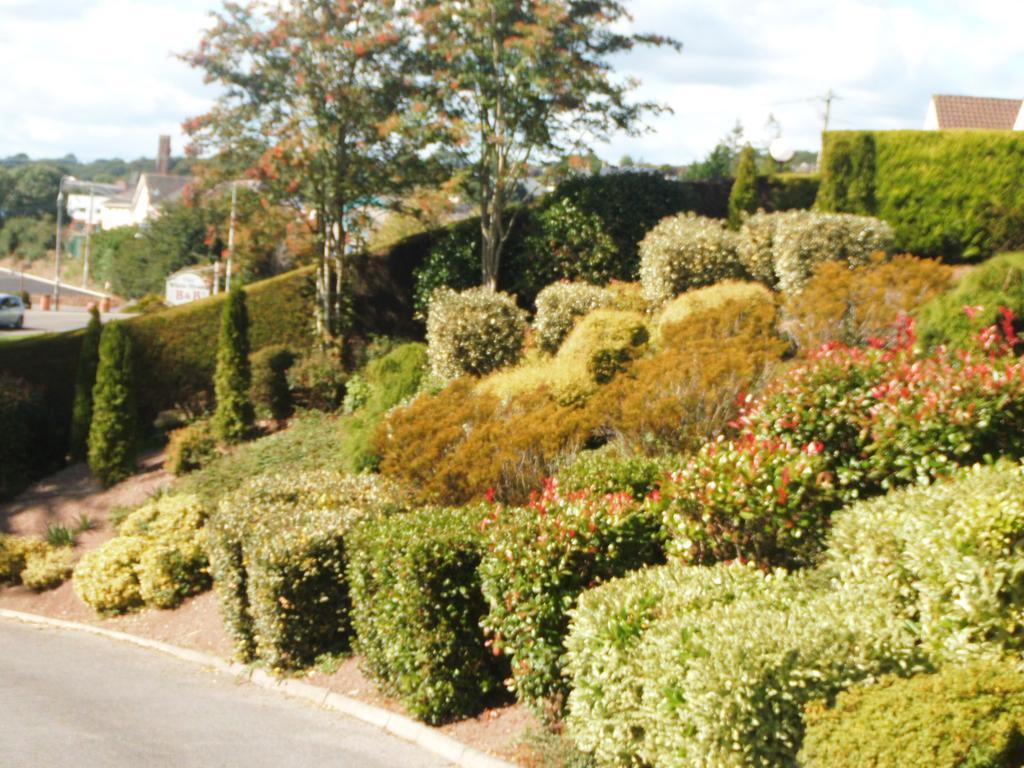 Blarney Vale B&B Extérieur photo