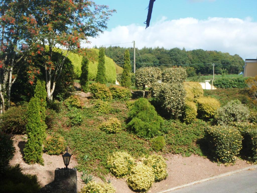 Blarney Vale B&B Extérieur photo