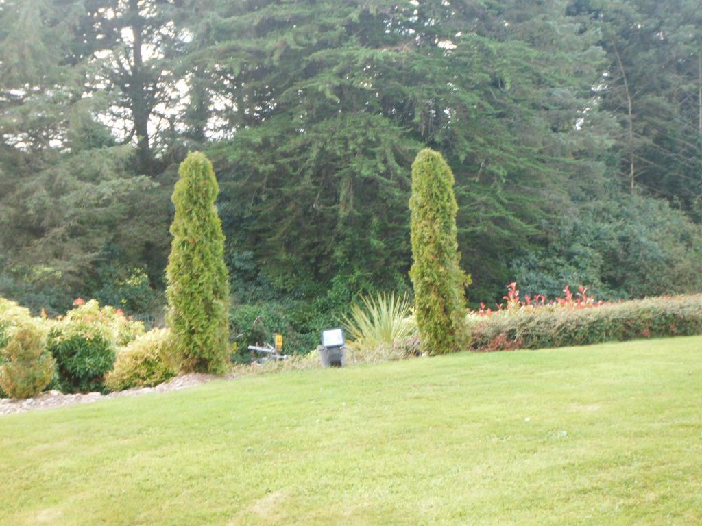 Blarney Vale B&B Extérieur photo