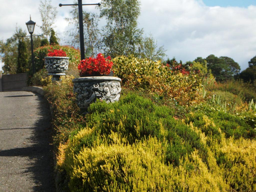 Blarney Vale B&B Extérieur photo