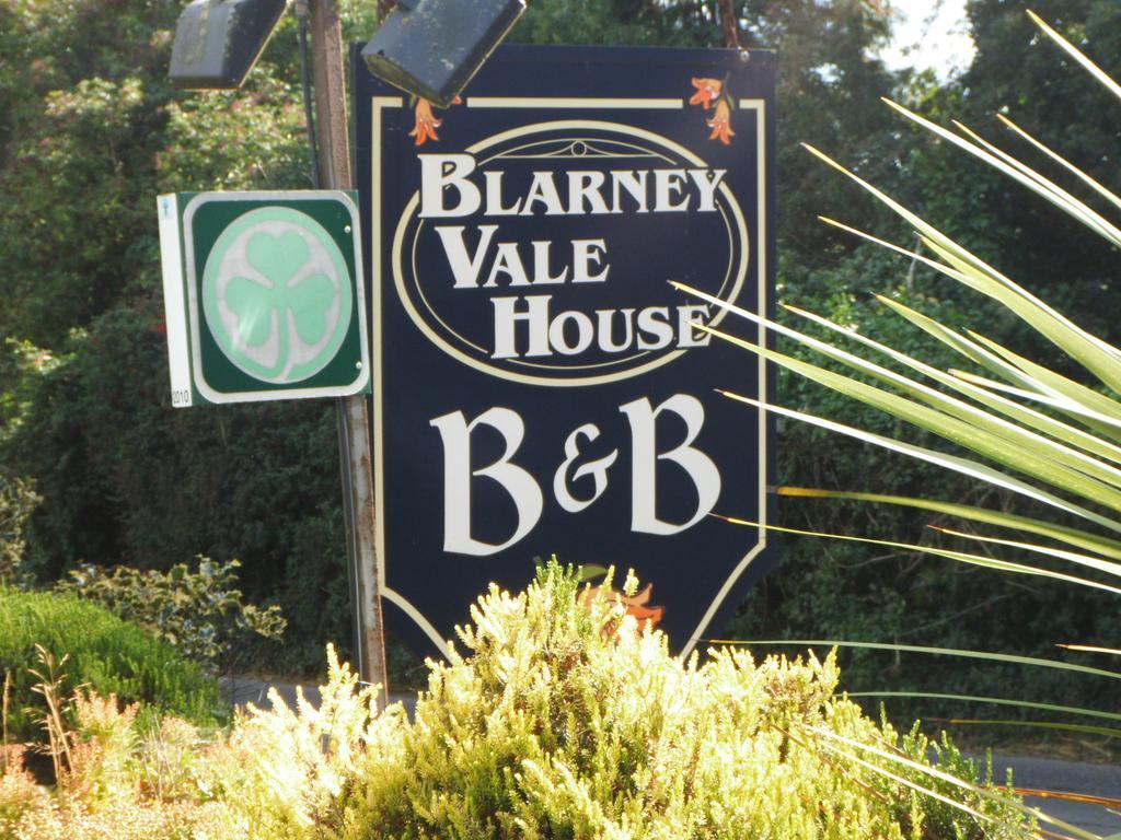 Blarney Vale B&B Extérieur photo